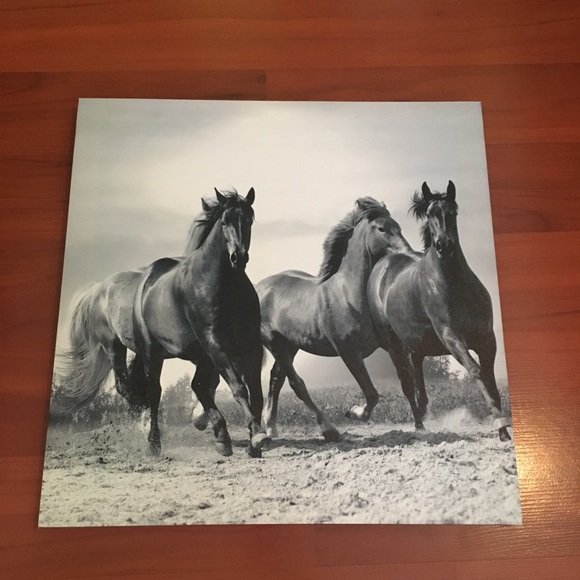 Horse canvas painting collage *5 pieces* - Picture 4 of 7